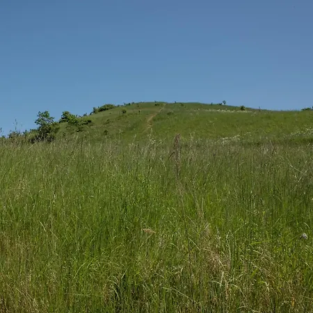 Tatil Evi Beautiful In Ebeltoft With 3 Bedrooms, Sauna And Internet